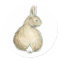 Woodland Watercolor Bunny Rabbit Stickers