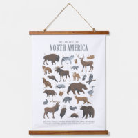Woodland Wildlife Animals Kids Room Nursery Decor
