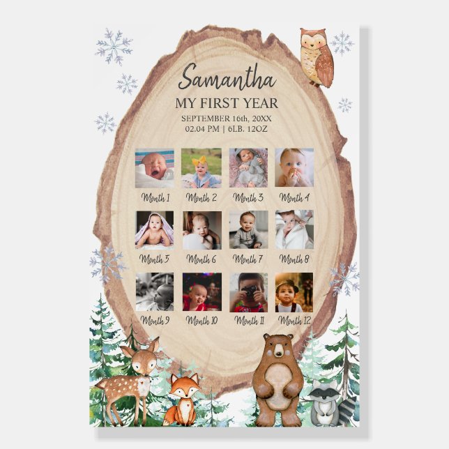 Woodland Winter Onederland Monthly picture  Foam Board (Front)