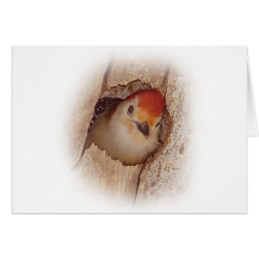 Woodpecker (Front Horizontal)