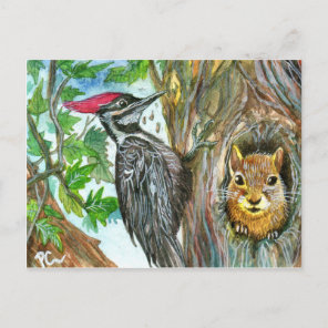 Woodpecker And Squirrel Postcard