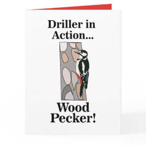 Woodpecker Bird Funny  Card