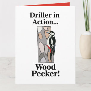 Woodpecker Bird Funny Card