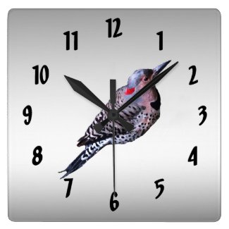 Woodpecker Bird Northern Flicker Clock