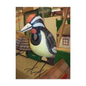 Woodpecker Birdhouse Postcard