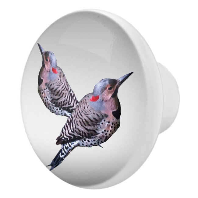 Woodpecker Birds Northern Flicker Ceramic Knob