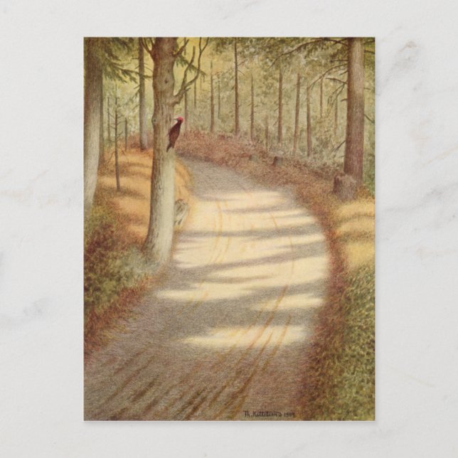Woodpecker by Theodor Severin Kittelsen Postcard (Front)