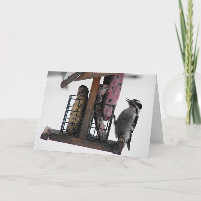 Woodpecker Card (Front)