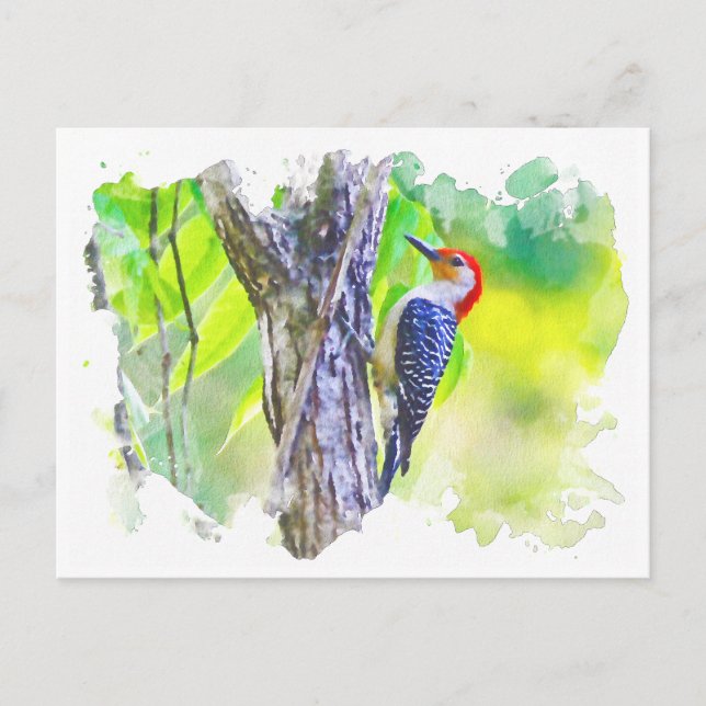 Woodpecker clinging to tree postcard (Front)
