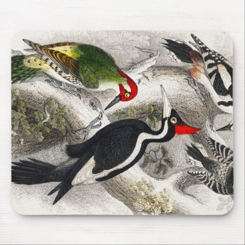 Woodpecker Green Woodpecker Woodpecker Bird Mouse Pad