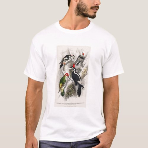 Woodpecker Green Woodpecker Woodpecker Bird T_Shirt