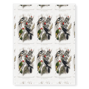 Woodpecker, Green Woodpecker, Woodpecker Bird Temporary Tattoos