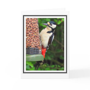 Woodpecker Greetings Card