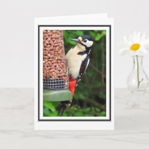Woodpecker Greetings Card