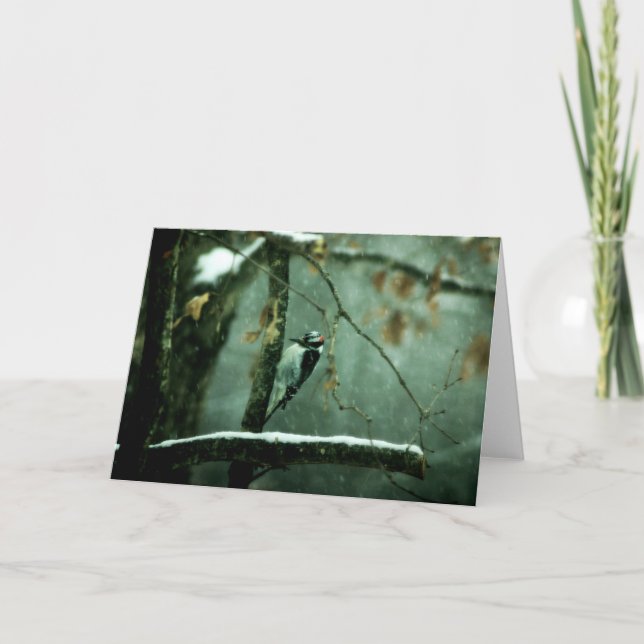 Woodpecker in Snow Greeting Card (Front)