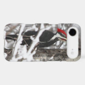 Woodpecker - iPhone 4 Case (Back (Horizontal))
