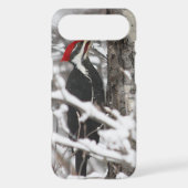 Woodpecker - iPhone 4 Case (Back)