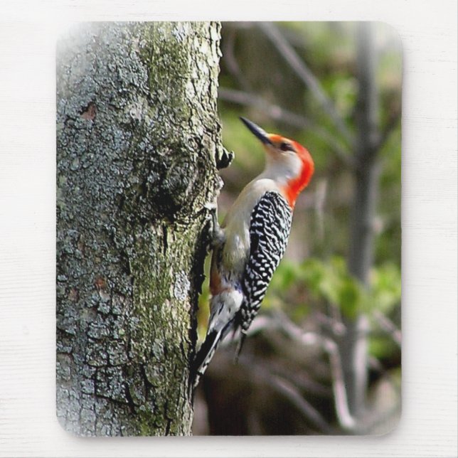 Woodpecker Mouse Pad (Front)