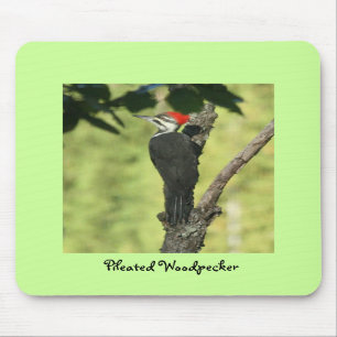Woodpecker Mousepad