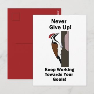 Woodpecker Never Give Up Inspirational Postcard