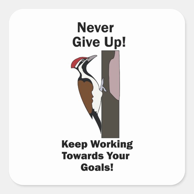 Woodpecker Never Give Up Inspirational Square Sticker (Front)
