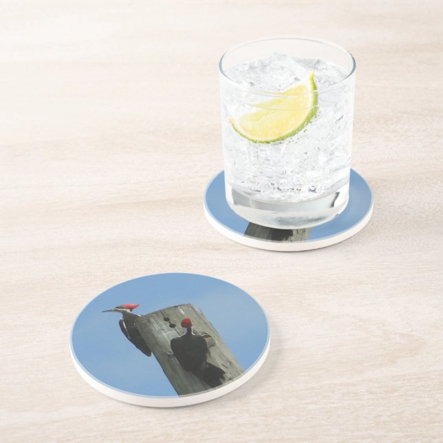 Woodpecker on a Pole Sandstone Coaster (Side)