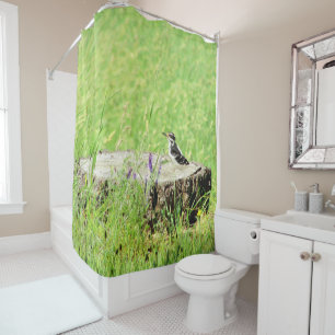 Woodpecker on a Stump Shower Curtain
