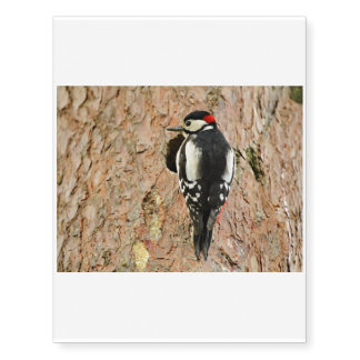 woodpecker on his tree temporary tattoos