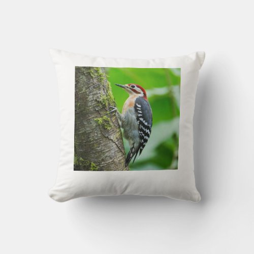 woodpecker on throw pillow