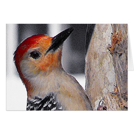 Woodpecker Portrait Cards (Front Horizontal)