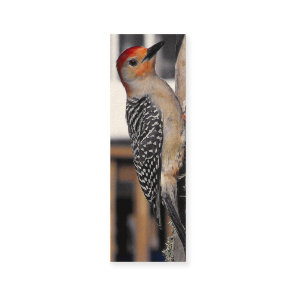 Woodpecker Portrait Mini Business Card