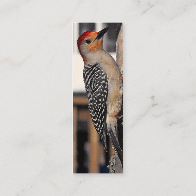 Woodpecker Portrait Mini Business Card (Back)