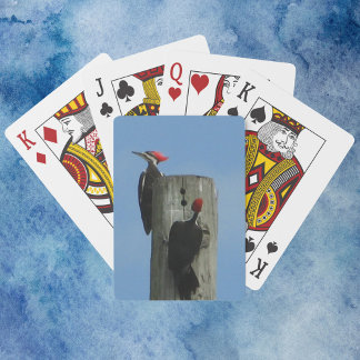 Woodpecker Posing on a Pole Photograph Poker Cards