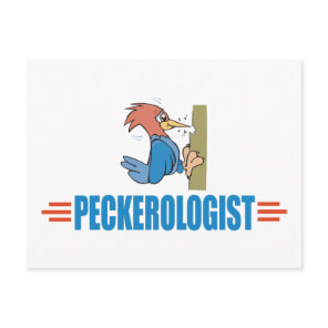 Woodpecker Postcard