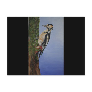 Woodpecker Products Postcard