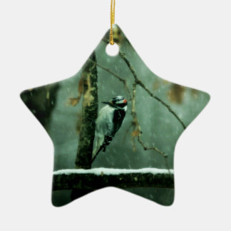 Woodpecker Snow Ornament