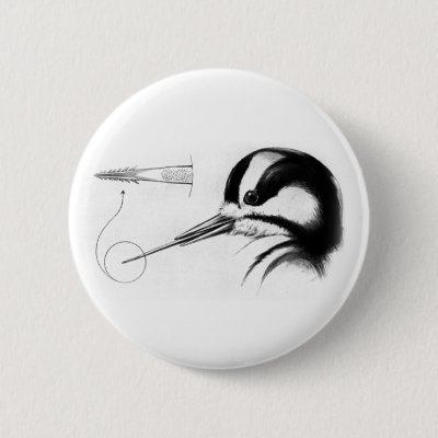 Woodpecker Tongue Anatomy Pinback Button