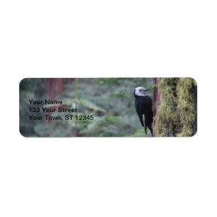 Woodpecker- Yosemite Label