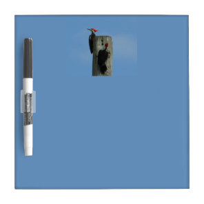 Woodpeckers on a Pole Photograph Dry-Erase Board