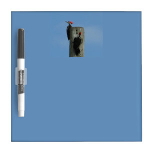 Woodpeckers on a Pole Photograph Dry-Erase Board