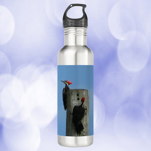 Woodpeckers Posing on a Pole Stainless Steel Water Bottle