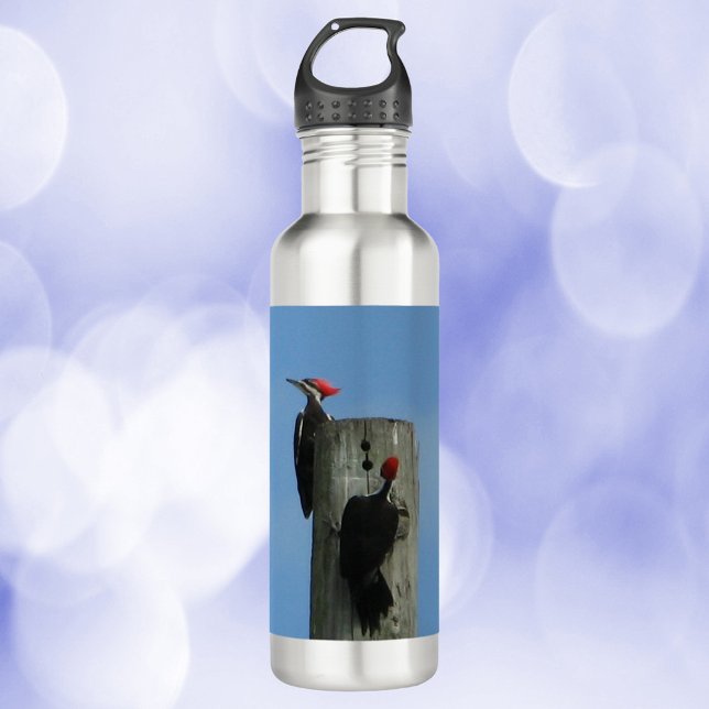 Woodpeckers Posing on a Pole Stainless Steel Water Bottle (A water bottle with a photo of two woodpeckers on a pole)