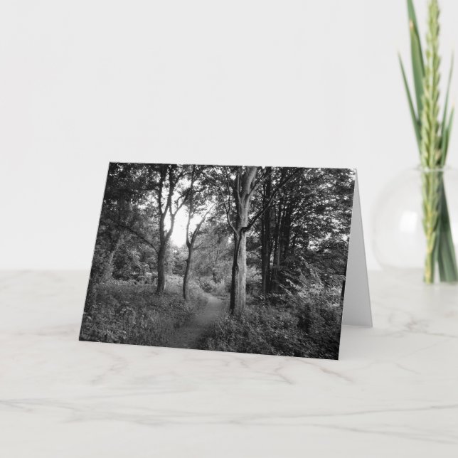 Woods Bute Park, Cardiff Greetings Card (Front)