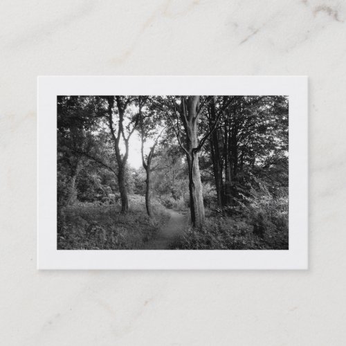 Woods Bute Park Cardiff Mini Photo Business Card