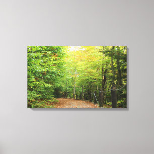 Woods Canvas Wraps Print