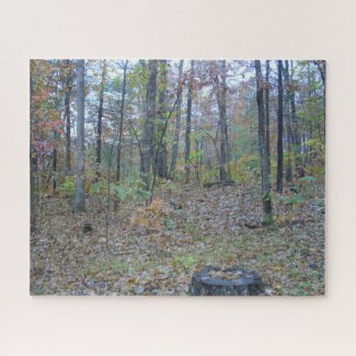 Woods In Fall Jigsaw Puzzle
