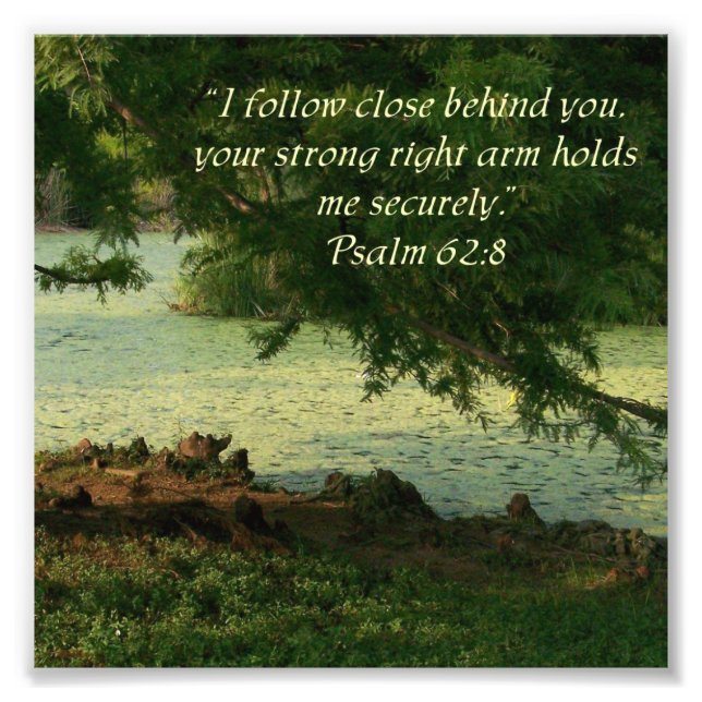 Woods Psalm 62:8 Psalm 62:8 Photo Print (Front)