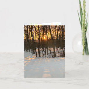 Woods Sunset Christmas Card