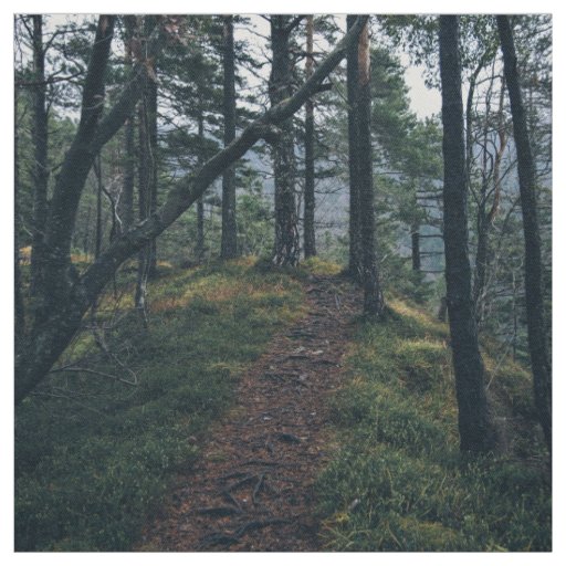 Woods Themed, Path Winds Through A Forest Of Trees Fabric