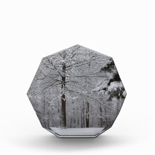 Woods View Award